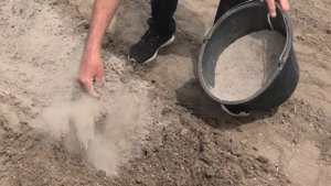 Посадка картофеля весной.