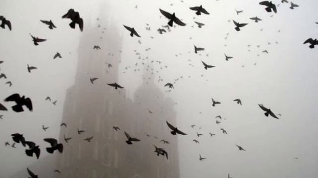 Thrones ~ Behold, the Birds of the Air смотреть онлайн