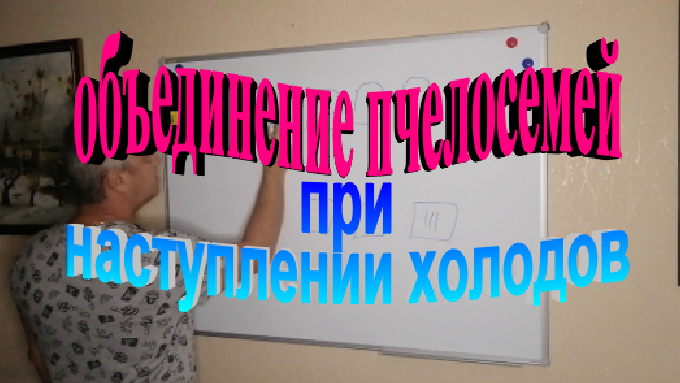 Объединение пчелосемей при наступлении холодов. смотреть онлайн