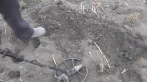 нокТО макро симплекс+.ОТКРЫТИЕ СЕЗОНА.коп монет.