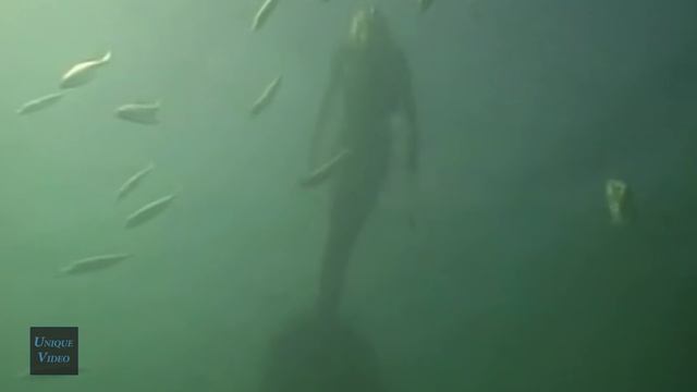 5 НЕИЗВЕСТНЫХ СУЩЕСТВ СНЯТЫХ НА КАМЕРУ #4 смотреть онлайн