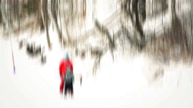 Горнолыжный комплекс поселок Даниловка. Санаторий Центросоюз Белокуриха