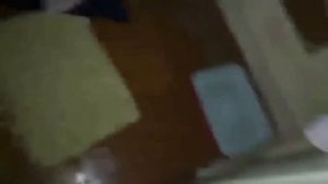 ОДЕРЖИМЫЕ КОТЫ. ТОП 5 ЗЛЫХ КОТОВ, КОТОРЫЕ НАПАДАЮТ НА СВОИХ ХОЗЯЕВ!