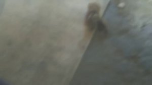 Задняя подвеска Муравей. Шрус вместо эластичных муфт.