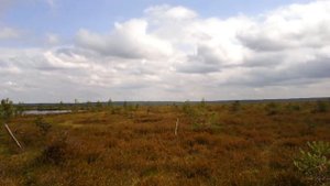 оз.Дикое Пермский край