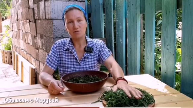 Не выбрасывай морковную ботву, сделай полезный чай
