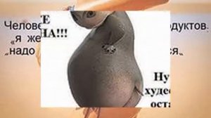 листата отзывы худеющих цена