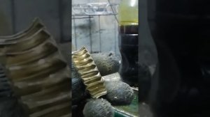 Косозубая червячная шестерня на 675