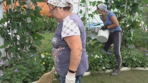 6 соток 22 июля 2024 года. Хроника.