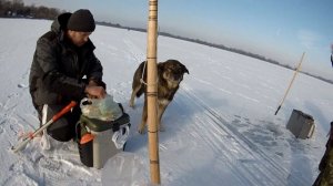 Рыбалка на гирлянду.  Техника и тактика ловли синца.  Часть 2.
