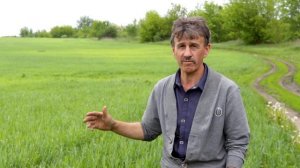 Зерновая сеялка Астра 6 - посмотрите всходы! Закажите в рассрочку и бесплатной доставкой.