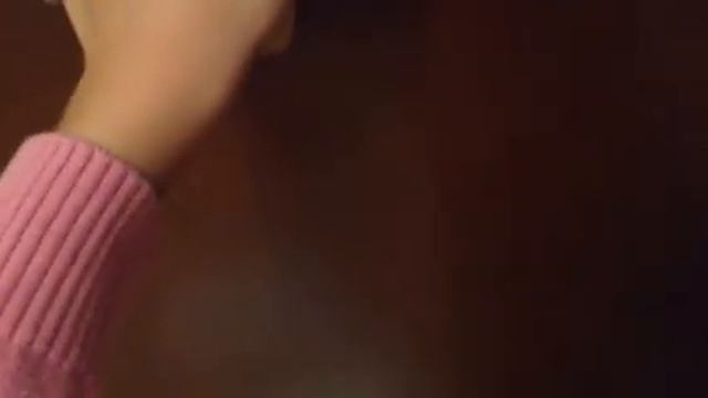 The cat collection и the dog collection - граница Собачьей Федерации смотреть онлайн