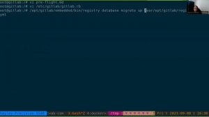 GitLab Container Registry Database Migration Demo