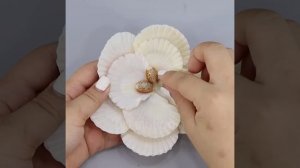 10+ Easy Seashell Wall Hanging Craft Ideas make in a jiff - Home Decor