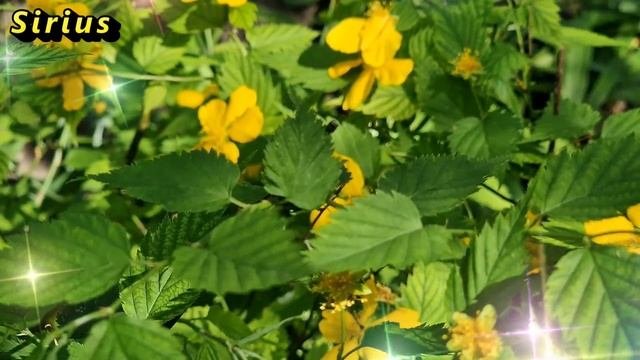 24 мая Мокий Мокрый: что категорически нельзя делать