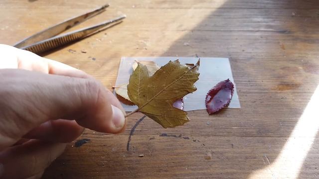 Украшения-листья смотреть онлайн