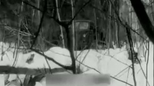 Автомобили высокой проходимости 1969
