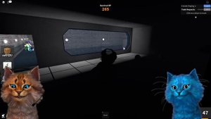 ОН ОКАЗАЛСЯ ПРЕДАТЕЛЕМ (Roblox Murder Mystery) Весёлый Кот и КОТЁНОК ЛАЙК