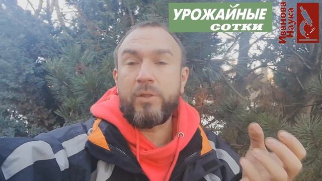 Головная боль: кроты и кротовины. Что сделать и не делать, чтобы кротовин было меньше? смотреть онлайн