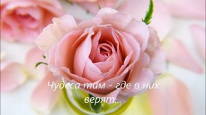 Счастье там где его берегут. Будьте счастливы!!!