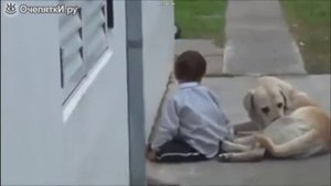 Собака обнимает мальчика