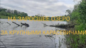 ЗА БОЛЬШИМИ КАРАСЯМИ НА ДИКОЕ ОЗЕРО!!!