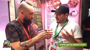 GROWPLANT ЧТО ЭТО ТАКОЕ? -  Субстрат из Пеностекла, Понимание субстрата для правильного применения.