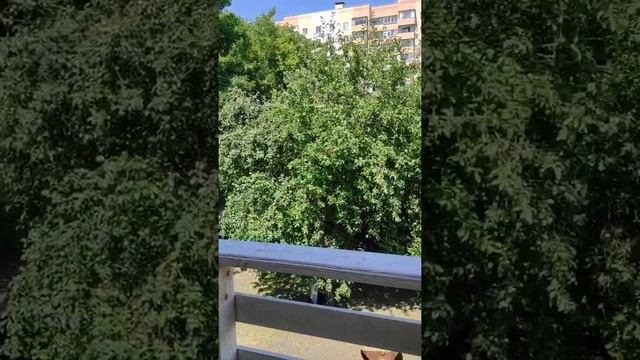 Балкон в частном доме. смотреть онлайн