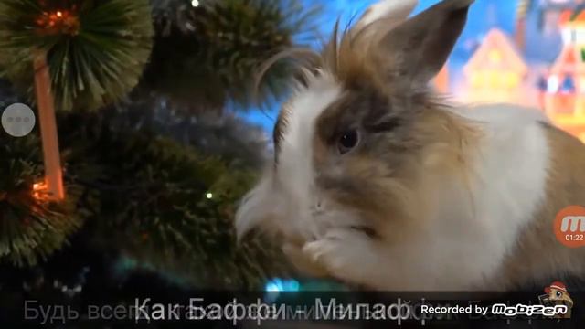 Как я и мы любим этот канал анука давайка.
