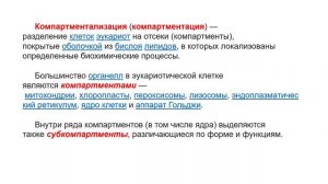 Везикулярный транспорт (1) (для чайников)