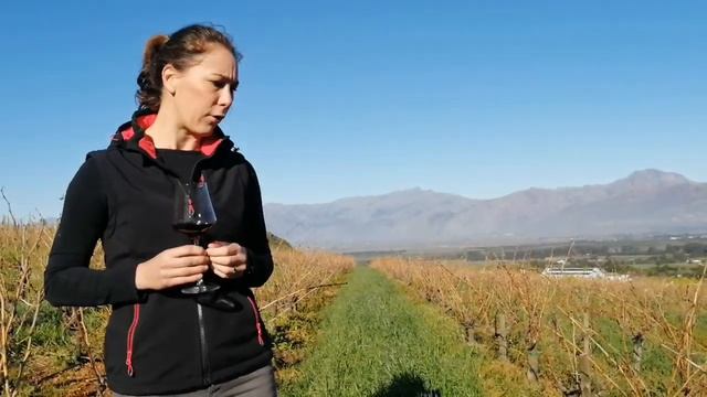 Olifantsberg Grenache Noir смотреть онлайн