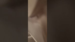 Отзыв о сушильной машине Jacky's JTD 9WL0