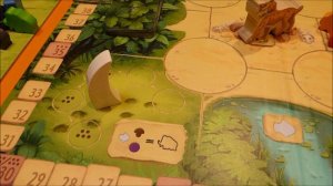 HABA Honga (Règle du jeu)