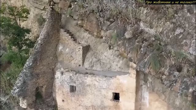 То что находится на вершине СКАЛЫ не поддаётся объяснению! Как получилось ЭТО там вообще построить! смотреть онлайн