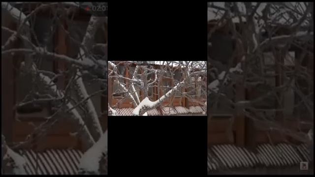 ύμνος του μοναχισμού гимн монашества смотреть онлайн