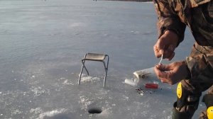 Ловля леща на игру. Оснастка зимней удочки. Техника и тактика.