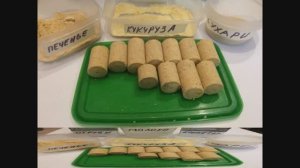 № 132. #Технопланктон в домашних условиях.