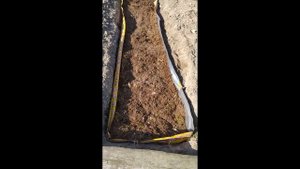 Траншейный способ посадки Голубики