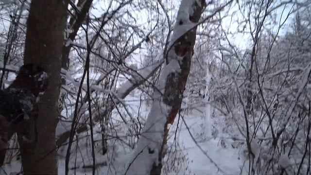 На Вездеходе по Оврагам!!! На Поиски Дров!!! смотреть онлайн