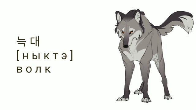 Корейский язык | Лексика | Тема: Животные #корейскийязык
