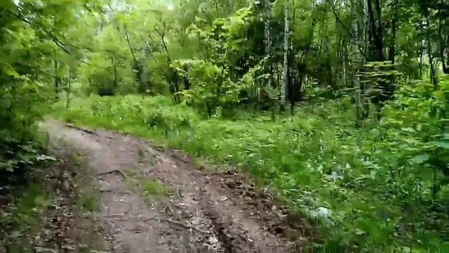 Вынос точек участка. Кадастровый инженер выставляет крайние точки #недвижимость#инвестиции #участок
