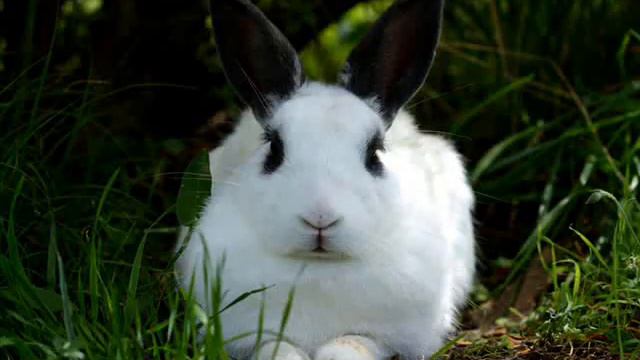 Детская мебель: стул для ребенка и интерьера. смотреть онлайн