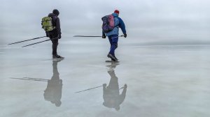 2024-02-24 Лебяжье. Ледово-водный мир и нордические конькобежцы