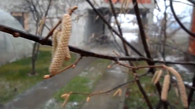 SAMSUNG ST70 digital camera- video macro testo смотреть онлайн