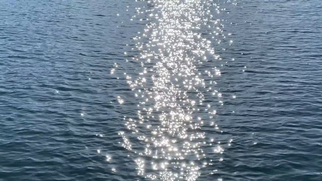 СЕДМИЧЕН ВЛОГ ❥ Копенхаген | покупки и разходки смотреть онлайн