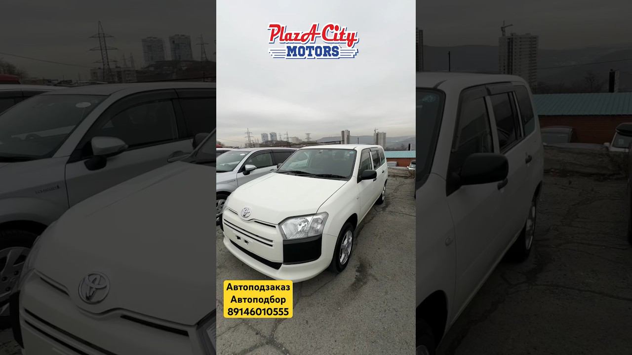 TOYOTA PROBOX 2018  Обзор цен зелёный угол 6.11.2023 #аукционыяпонии #автозаказ #зеленыйугол #vdk
