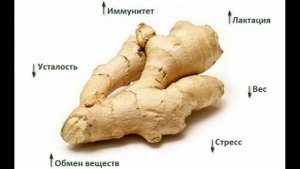 ✅ Имбирь польза и вред. ✅ Имбирь польза как употреблять. ✅ Имбирь полезные свойства рецепты