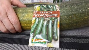 ??❤️Обзор высокоурожайного сорта кабачка на 2022 год
