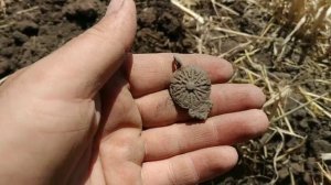 Коп после уборки на стерне с Minelab X-terra 705