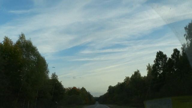 №502 На даче Ищем магазин 24ч | Асфальт | Новые конвекторы | Медынь Магазин Верный | НЛО в небе смотреть онлайн